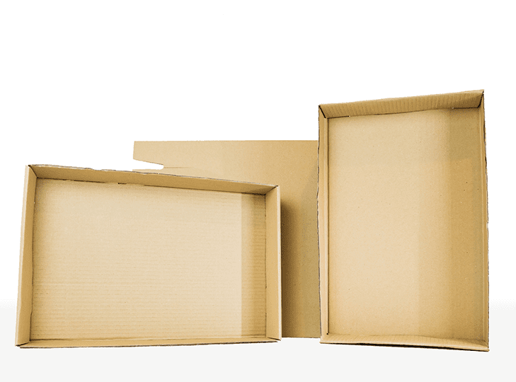 24pk Trays For 330ml/440ml Beverage Cans