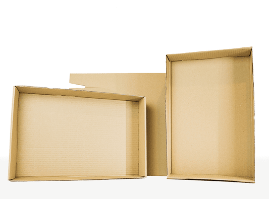 24pk Trays For 330ml/440ml Beverage Cans